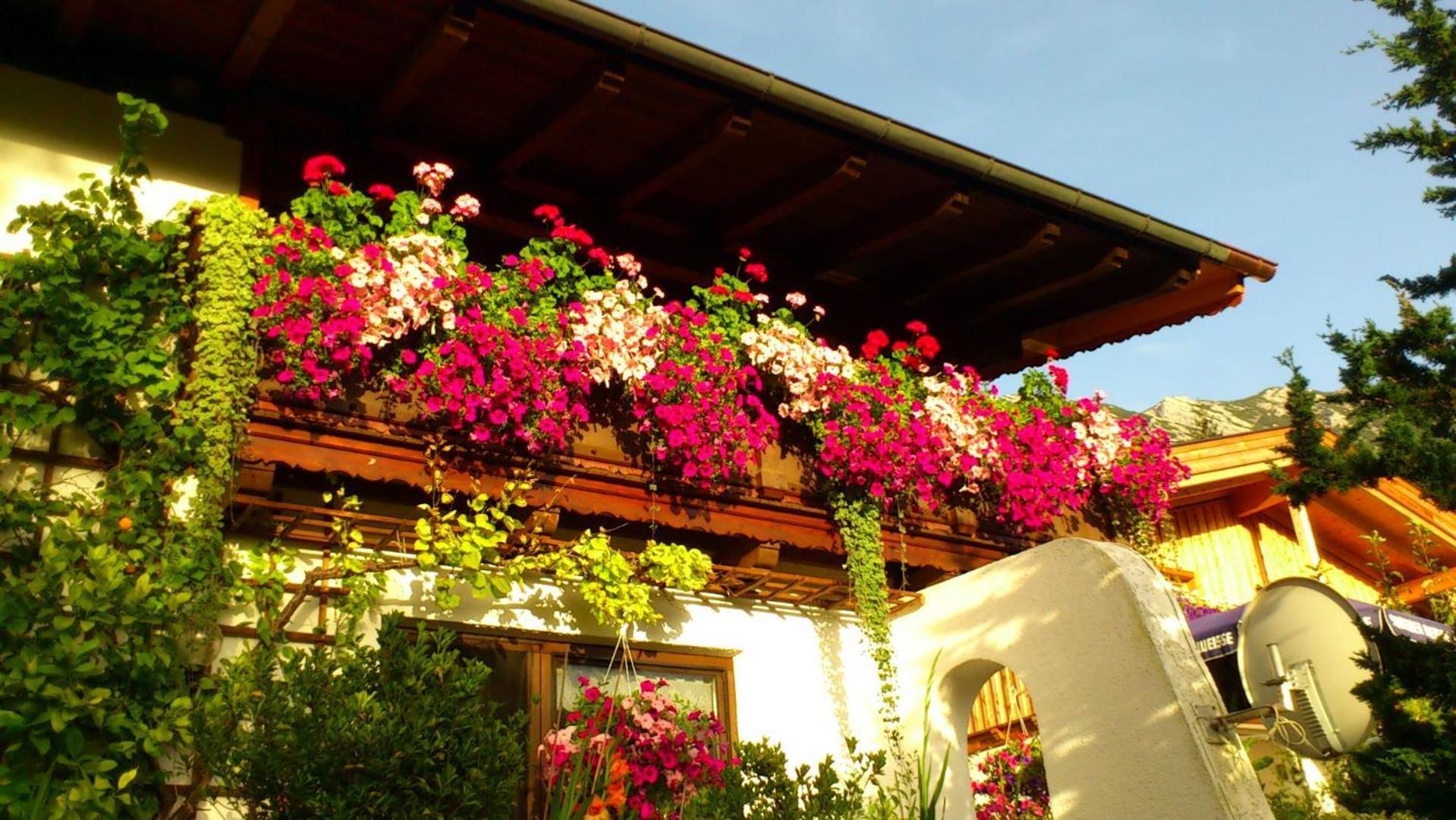 Haus Alex *